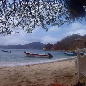 Meet your Posher, Hugo